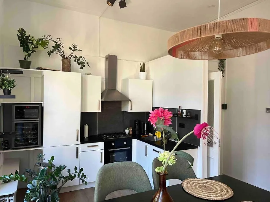 Vondelpark Luxury Apartment Amsterdam Netherlands
